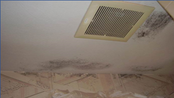 Moisture Management. DEO9